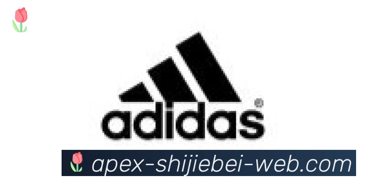 世界杯直播合作伙伴